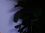 Athena Massey, Rena Riffel, Elena Olanson nude - Undercover (1995) movie sex scenes