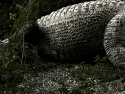 Lauren Schneider & Amanda Fuller & Jennifer Lynn Warren - Creature (2011) unsimulated sex in mainstream cinemas