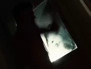 Jennifer Lopez nude, Lexi Atkins nude – The Boy Next Door (2015) movie sex scenes