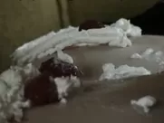 Stefanie Honer nude - Fass mich an (2003) movie sex scenes porn