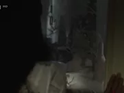 Dana Vavrova Nude - Poceti meho mladsiho bratra (2000) best movie sex scenes