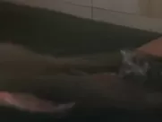 Sean Young Nude - Men (1997) romantic sex scene