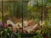 Olivia Lonsdale, Sytske van der Ster nude - Botanica (2017) explicit sex in mainstream cinema