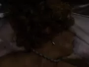 Petra Hrebickova Nude - I Served the King of England (2006) great sex scenes