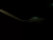 Monica Engesser, Whitney Moore Nude - Breakdown Lane (2017) sex scene