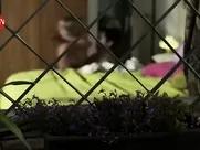 Titi Garcia Huidobro, Pilar Ruiz, Yorka Ojeda, Gilda Maureira Nude - Infieles. A netflix sex scenes