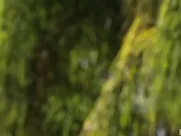 Gwen Stark - Role Playing - Yoga Instructor explicit mainstream cinema sex