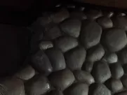 Laura Harring nude, Naomi Watts nude – Mulholland Dr. (2001) unsimulated sex scenes