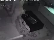 PMV Văn Mai Hương - Clip địt Nhau - Phần 2/2 best sex scenes