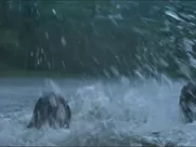 Eva Melander nude - Border (Grans) (2018) horror movie sex scenes