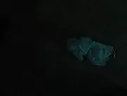 Estella Warren nude – Assassination (2016) mainstream cinemas unsimulated sex