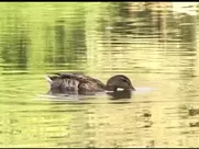 Nude Model - Margarita modern mainstream cinema more sex and violence