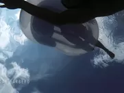 Giulia Charm, Elisabeth Larena nude - Vivir sin permiso s01e01-10 (2018) great sex scenes