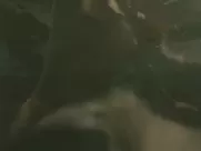 Erica Durance Nude - House of the Dead (2003) best sex scenes