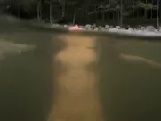 Erica Durance Nude - House of the Dead (2003) best sex scenes