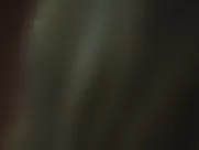 Dreama Walker Nude - Compliance (2012) sex mainstream cinema