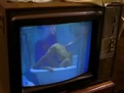 Arcelia Ramirez, Francesca Guillen Nude - Asi es la vida (2000) hottest movie sex scenes