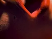 Molly Parker, Alisha Klass - The Center of the World (2000) lingerie sex scene