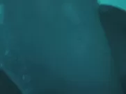 Michelle Williams nude - Blue Valentine (2010) hollywood sex scenes