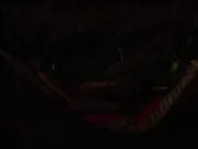 Vimala Pons Nude - La loi de la jungle (2016) naked sex scenes