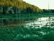 Nude Pascale Bussieres, Valerie Blain - Marecages (2011) celebrity real sex scene