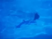 Rachel Weisz nude - I Want You (1998) best movie sex scenes