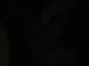 Lynn Collins nude – Uncertainty (2009) softcore sex scene