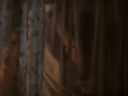 Cate Blanchett Nude - Elizabeth (1998) actress sex scene