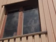 Maike Meijer, Ricky Koole,Ariane Schluter naked - The Dress (1996) best movie sex scenes