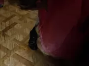 Cristen Coppen, Kate Miner, Ashley Wood naked - Shameless s09e01 (2018) mainstream cinema sex cum