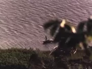 Mariana de Moraes, Jackeline Olivier,  Amazyles de Almeida nude - Alma Corsaria (1993) explicit sex mainstream cinema nude