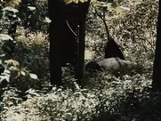 Hwang Geum-hee nude – Couple In The Forest (2017) Full Frontal Nude explicit sex mainstream cinema nude