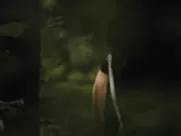 Hwang Geum-hee nude – Couple In The Forest (2017) Full Frontal Nude explicit sex mainstream cinema nude