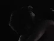 Zoe Kravitz, Zoey Deutch - Vincent N Roxxy (2016) romantic sex scene