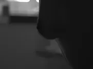 INTOXICATE - Porn Music Videos HD (2017) sex in cinema mainstream videos