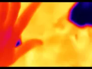 María Evoli, María Cid @ Tenemos La Carne aka We Are The Flesh (2016) sex scene xvideos