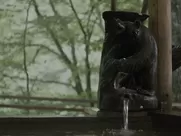 Sexy Alicia Vikander, Riley Keough nude - Earthquake Bird (2019) mainstream cinema sex cum