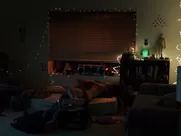 Charlotte Best, Shari Sebbens, Stephanie King nude - Teenage Kicks (2016) mainstream sex cinema