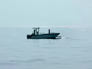 Eline Powell nude - Siren s02e01 (2019) real sex scenes in movies