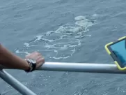 Eline Powell nude - Siren s02e01 (2019) real sex scenes in movies