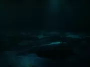 Eline Powell nude - Siren s02e01 (2019) real sex scenes in movies