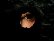 Monica Bellucci - Malena (2000) sex mainstream cinema