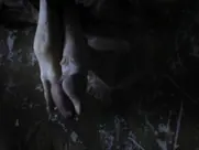 Sophie Hunter - Epitaph hot sex scenes