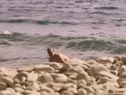 Natalie Portman naked - Planetarium (2016) mainstream sex in cinema