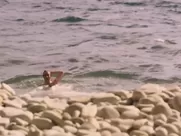 Natalie Portman naked - Planetarium (2016) mainstream sex in cinema