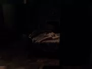 Sierra Wooldridge, Jordan Claire Robbins nude - Anon (2018) hottest sex scenes