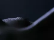 Nude scene - Yellow Sea (2010) hottest sex scenes