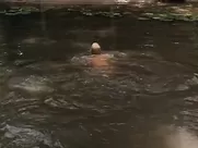 Daryl Hannah & Kathy Bates naked - At Play in the Fields of the Lord (1991) naked realistic sex scenes in mainstream cinema