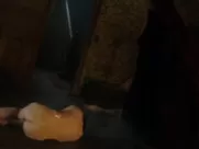 Chelsie Preston Crayford Nude - Ash vs Evil Dead s03e09 (2018) funny sex in mainstream cinema