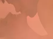 Bo Derek - Bolero (1984) most realistic sex scenes